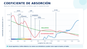 Gráfico del coeficiente de absorción de los cromóforos cutáneos —melanina, oxihemoglobina y agua— según la longitud de onda, con referencias a los láseres Argón, KTP, colorante, Rubí, Alejandrita, Diodo y Nd:YAG.